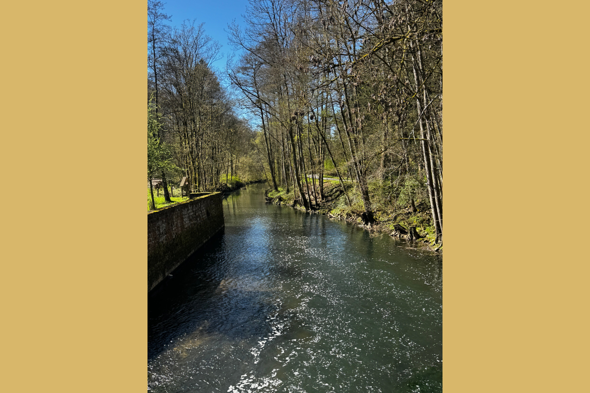 Beautiful flowing forest river